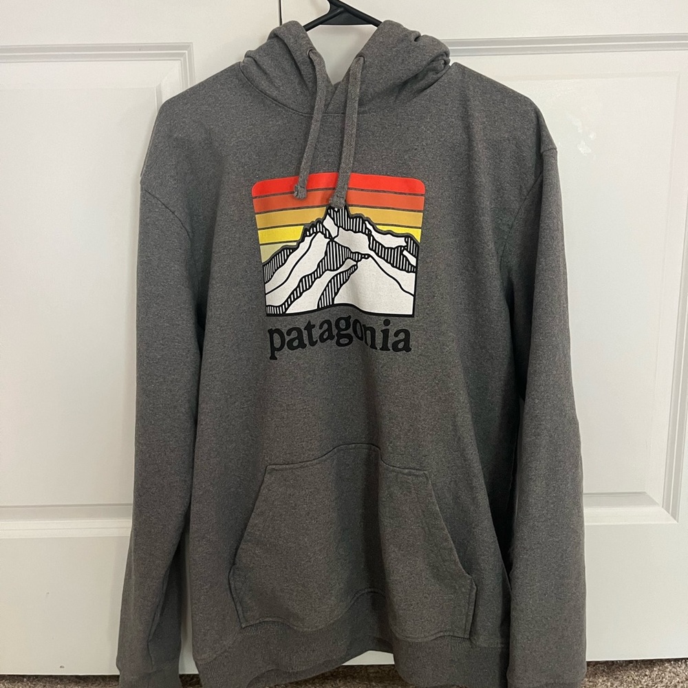 Men’s Patagonia Hoodie